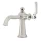 Option Polished Nickel