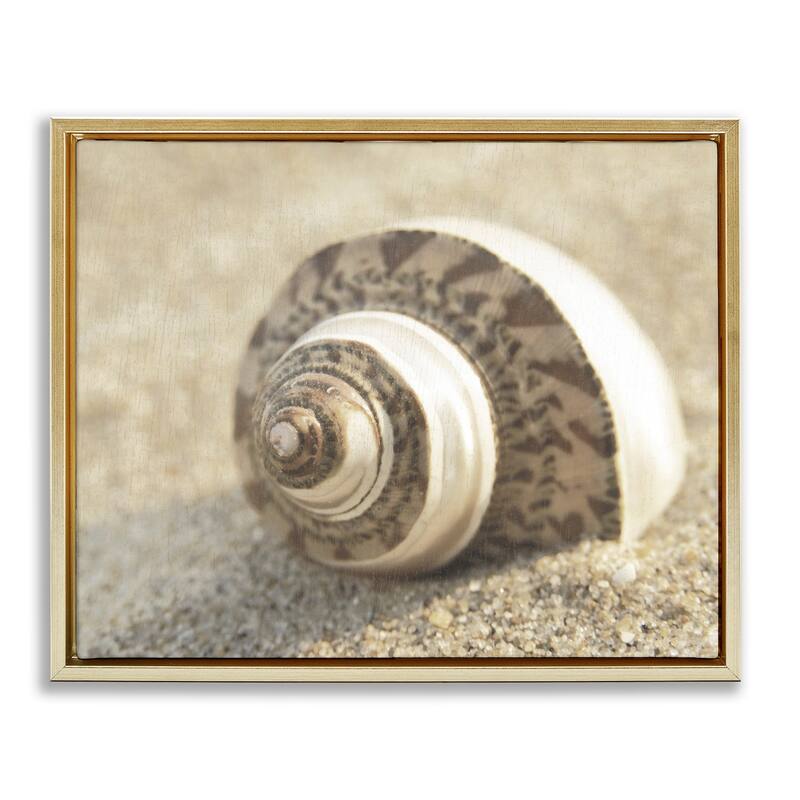 Stupell Neutral Tone Seashell Framed Floater Canvas Wall Art Design By Dora Rotondella - 31 x 25 - Gold