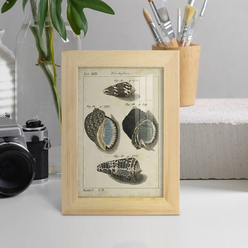 Vintage Shell Study III -Framed Print w/glass-Cherry Red