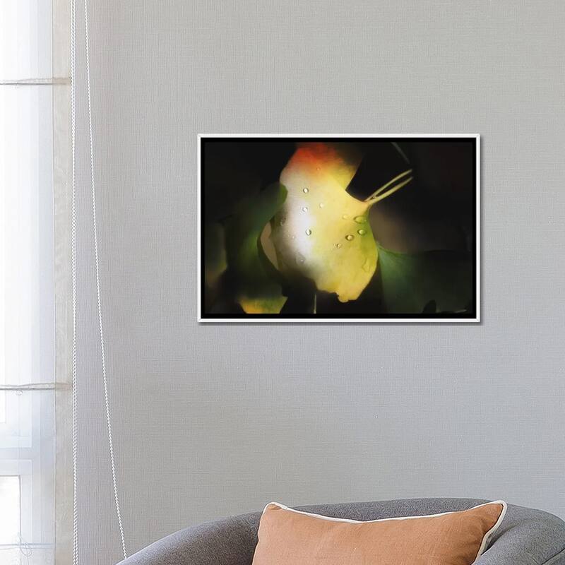 iCanvas "Apple Color" by Philippe Sainte-Laudy Framed