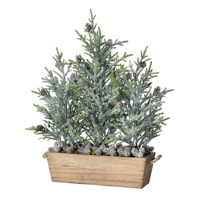 20"Frost Mini Fir with cones Triple Tree In Planter" - 20"
