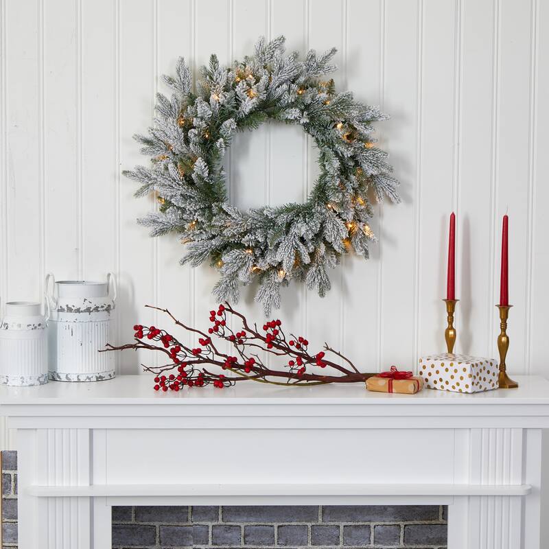 24" Flocked Christmas Wreath with 50 LED Lights