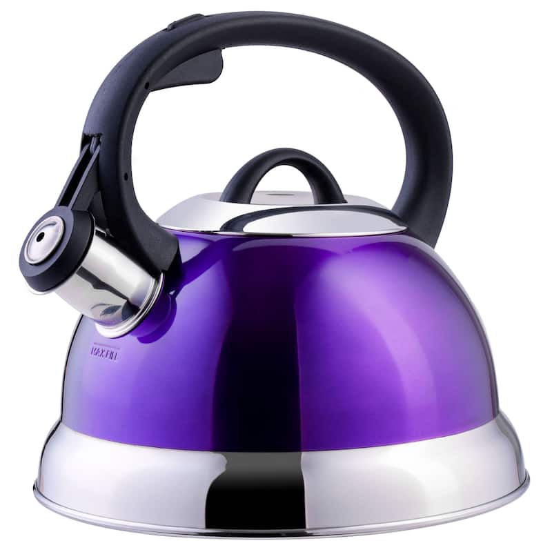 Mr. Coffee Flintshire Stainless Steel 1.75 Quart Whistling Tea Kettle with Stay Cool Handle and Flip-Up Spout - 1.75 Quart