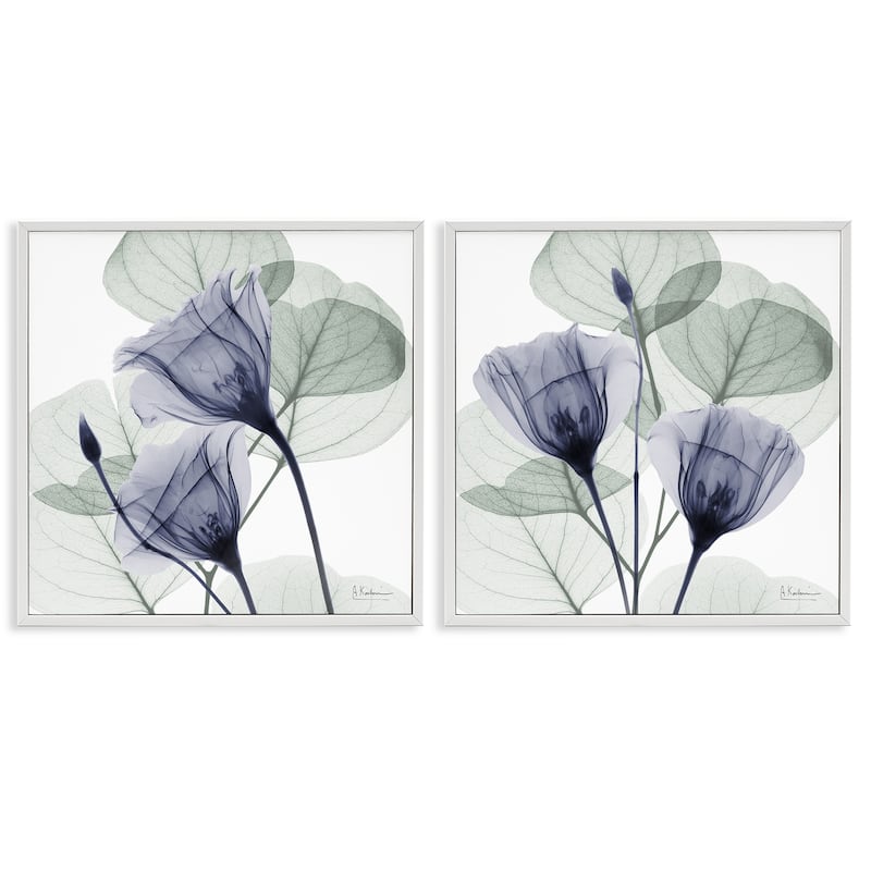 Stupell Fading Florals & Herbs Framed Giclee Art Design By Albert Koetsier (Set of 2) - 24 x 24 - White