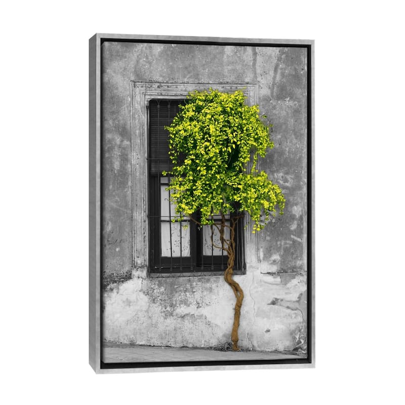 Large Wall Art, Framed Art, Modern Art, Plants, Botanical, by Panoramic Images
