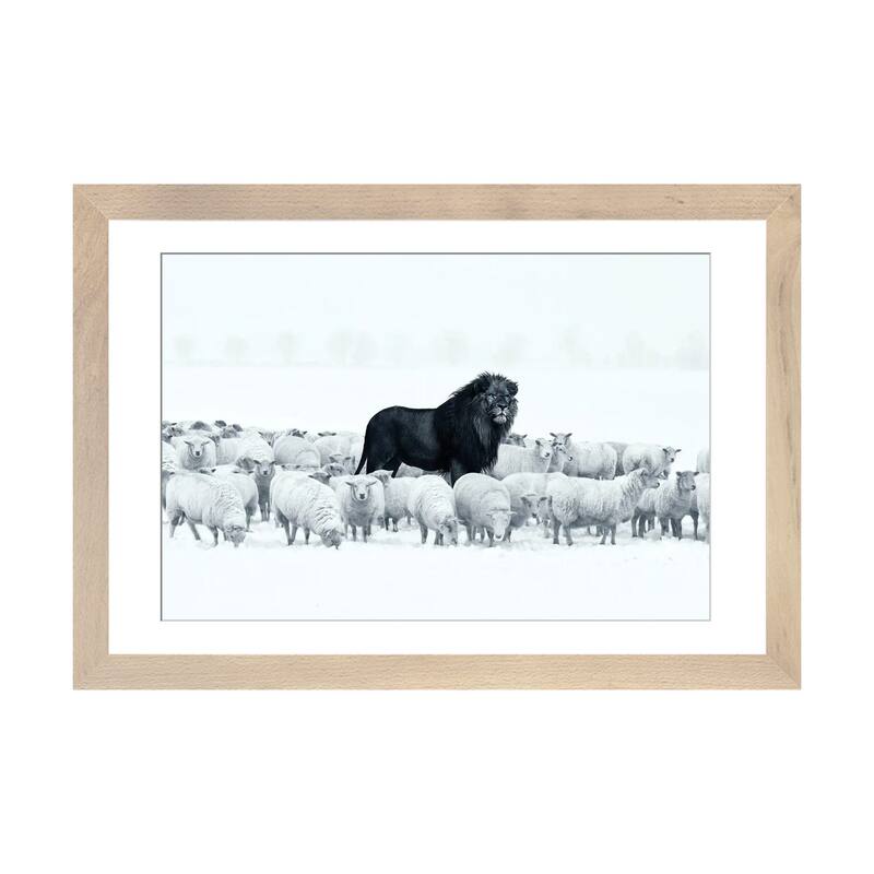 iCanvas "Lion Among Sheep" by Ruvim Noga - Natural - 24x32x1