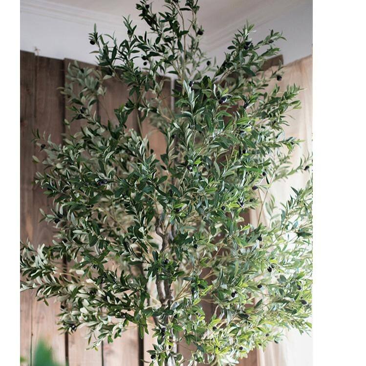 RusticReach Extra Large Tall Olive Tree 118" Tall - 118" Tall