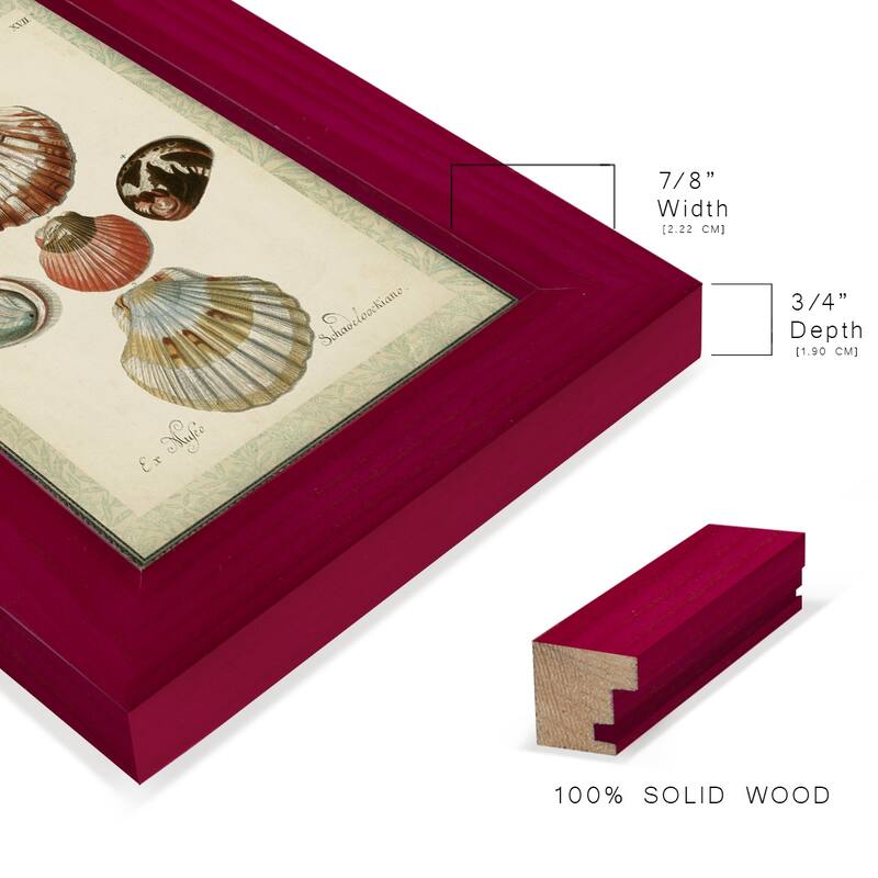Bookplate Shells III -Framed Print w/glass-Cherry Red