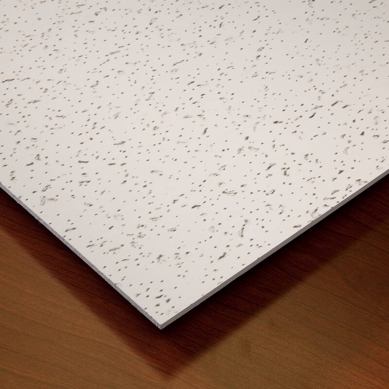 Genesis Printed Pro White 2 x 4 Lay-in Ceiling Tiles