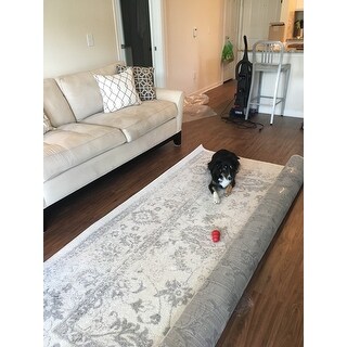 Safavieh Adirondack Dakota Distressed Vintage Boho Oriental Rug