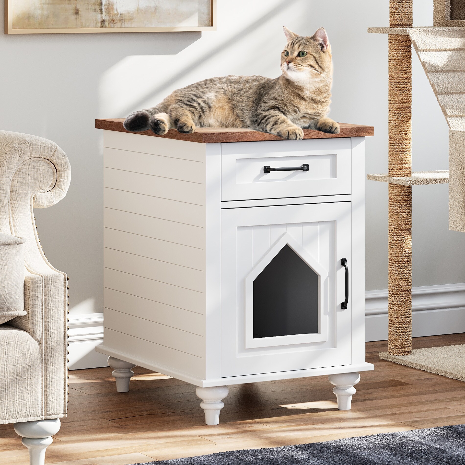 Cat pan furniture store