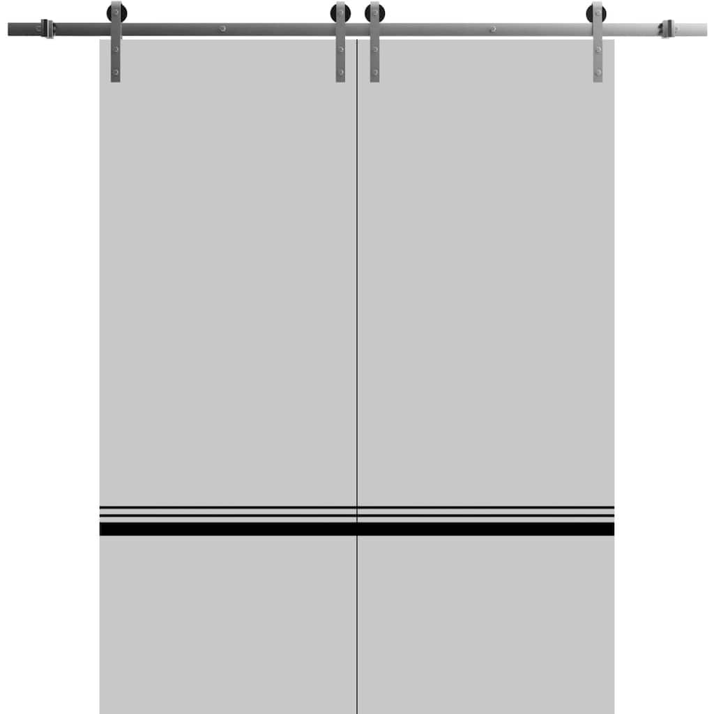 Sturdy Double Barn Door 36 x 80 with Planum 0012 Grey Matte with 13FT