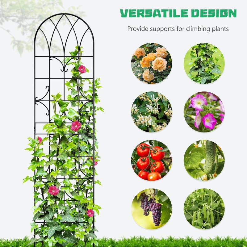 DoCred 4 Pack Garden Climbing Plant Steel Trellis