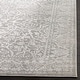 preview thumbnail 31 of 47, SAFAVIEH Princeton Patricie Vintage Distressed Boho Oriental Polyester Rug