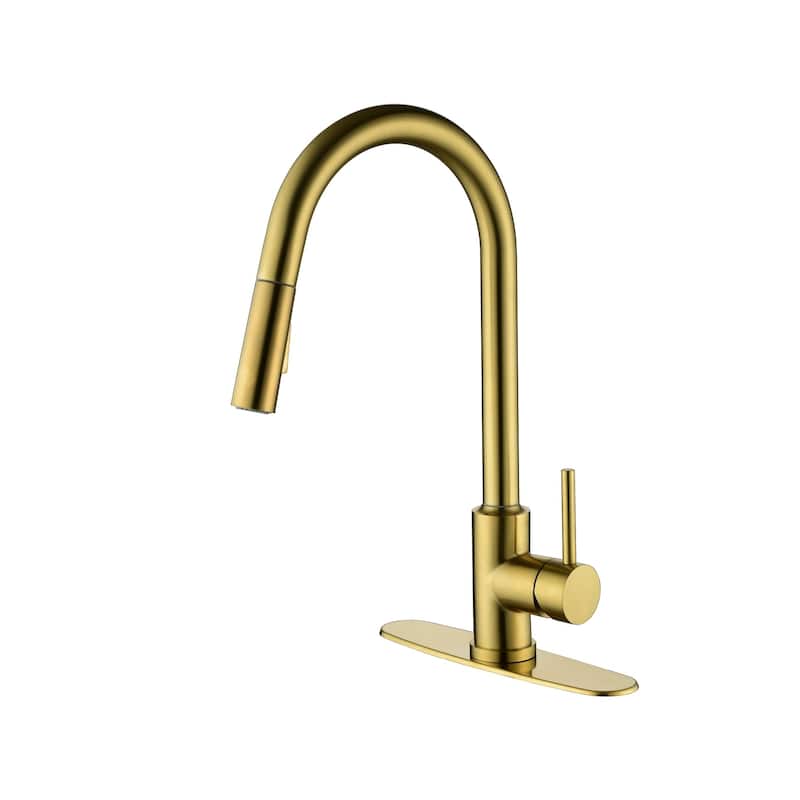 2-Function 1-Handle Pulldown Kitchen Faucet