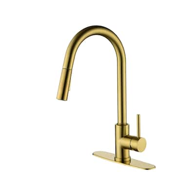 2-Function 1-Handle Pulldown Kitchen Faucet