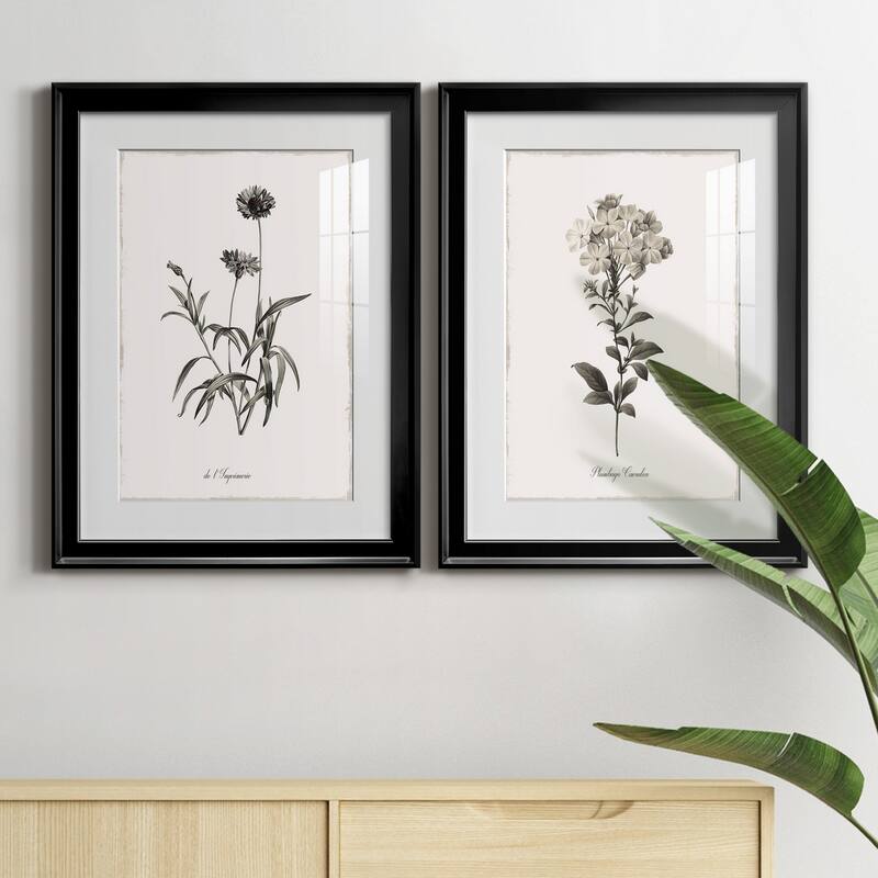 Sketchbook Imperial Premium Framed Print - Ready to Hang
