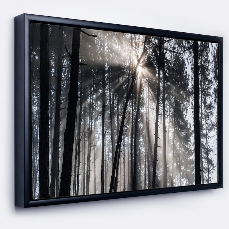 Designart "Sunbeams through Black White Forest" Forest Framed Canvas Wall Art Print - 60 in. wide x 28 in. high - Black