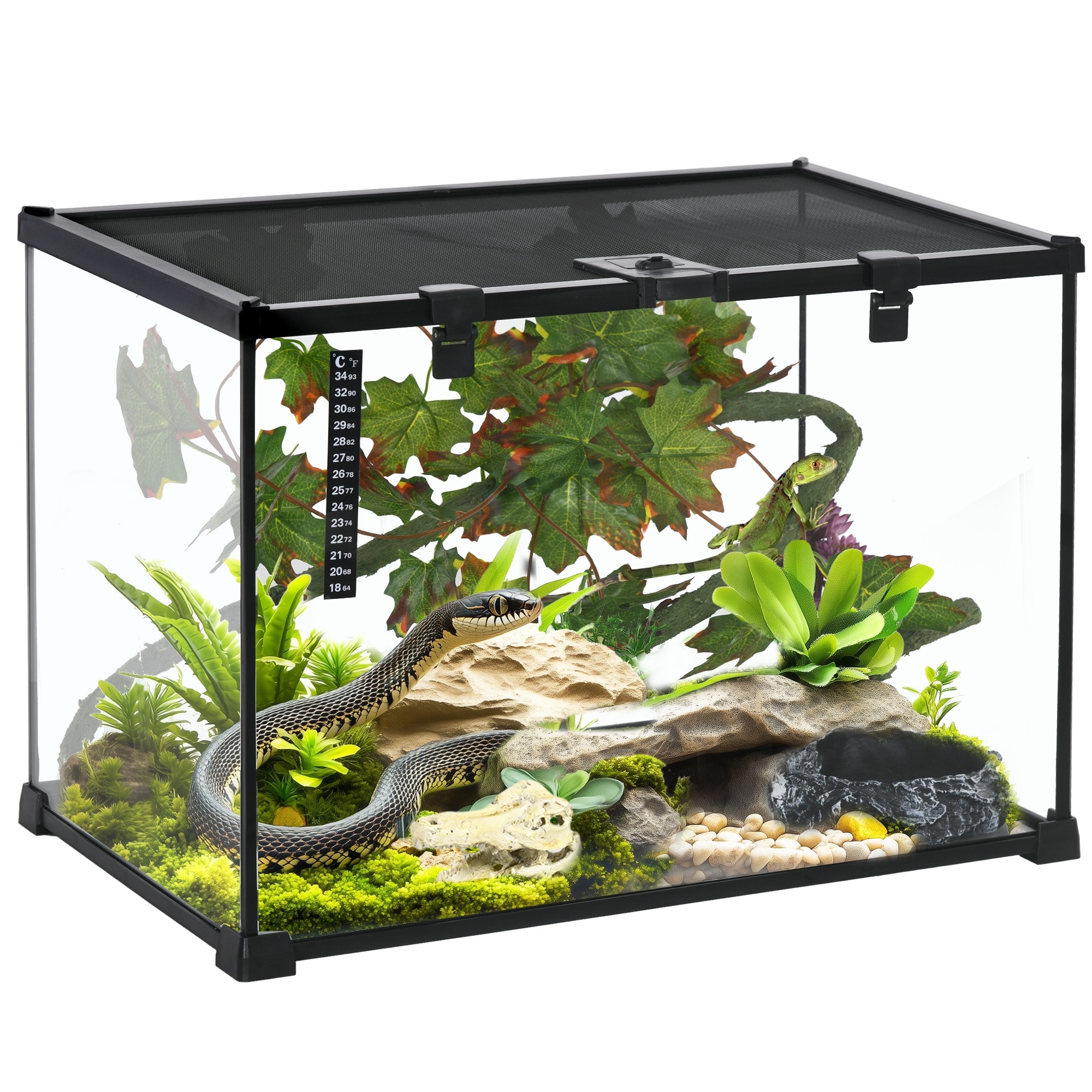 PawHut 14 Gallon Glass Reptile Enclosure with Decor Kit, Crested Gecko Tank, Full View Terrarium Tank