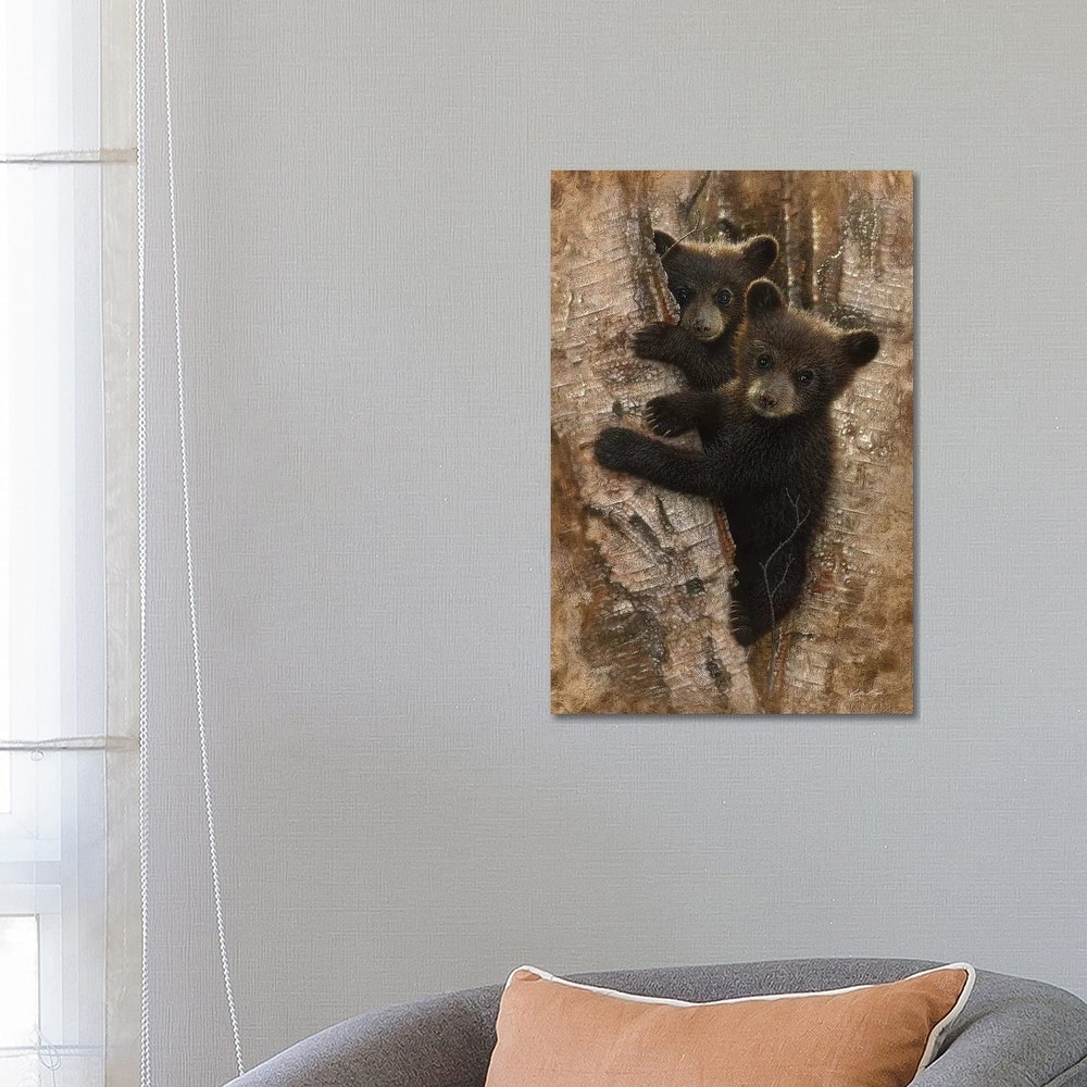 iCanvas "Curious Black Bear Cubs, Vertical" by Collin Bogle Canvas Print