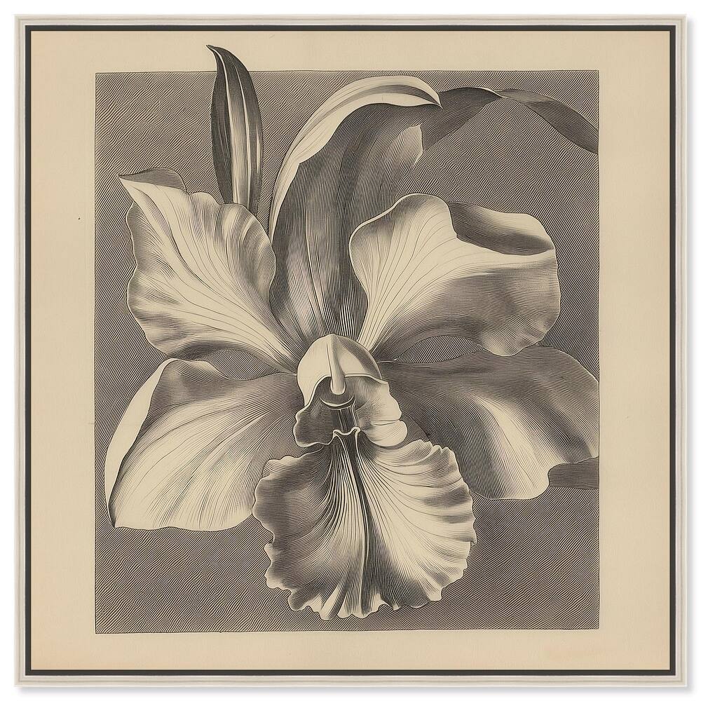 Petals Unfurled II Canvas by Art Remedy