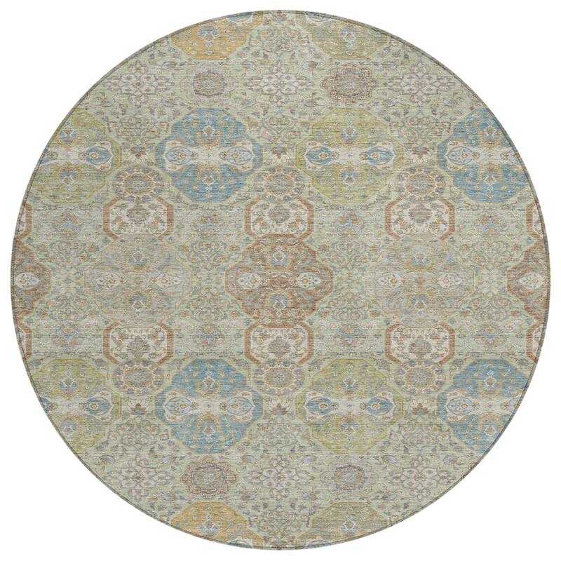 Machine Washable Indoor/ Outdoor Traditional Tracey Chantille Rug