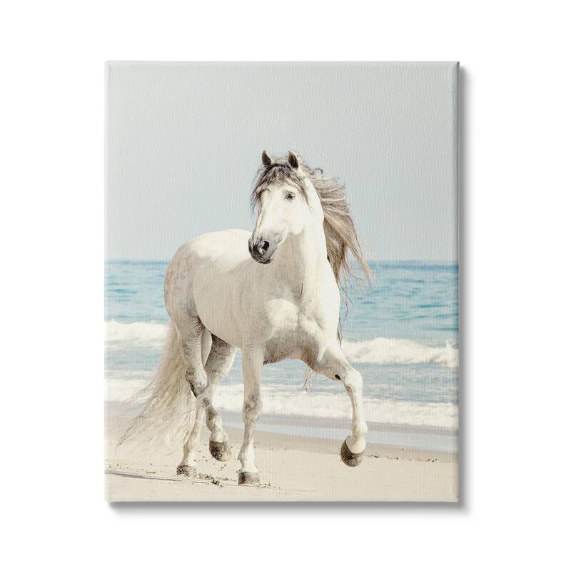 Stupell Galloping White Stallion Wild Horse Sun Bleached Coast Canvas Wall Art