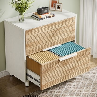 2-Drawer Lateral Filing Cabinet with Adjustable Hanging Bar for Letter ...