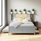 Option Grey