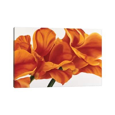 iCanvas "Fancy Flower II" by Yvonne Poelstra-Holzhaus Canvas Print