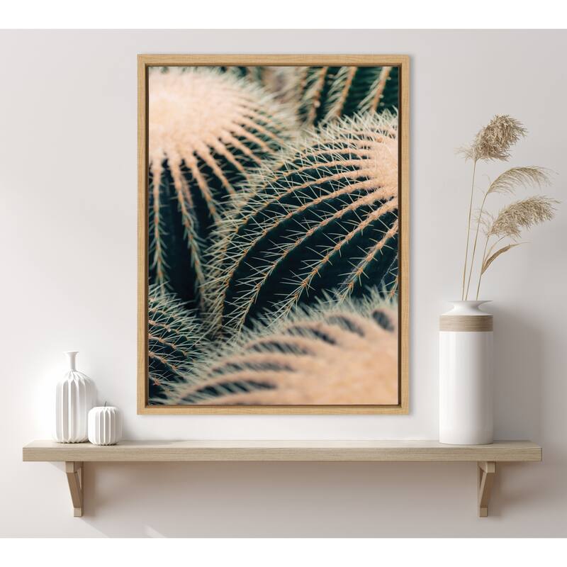 Kate and Laurel Sylvie Barrel Cactus Framed Canvas by Alicia Bock