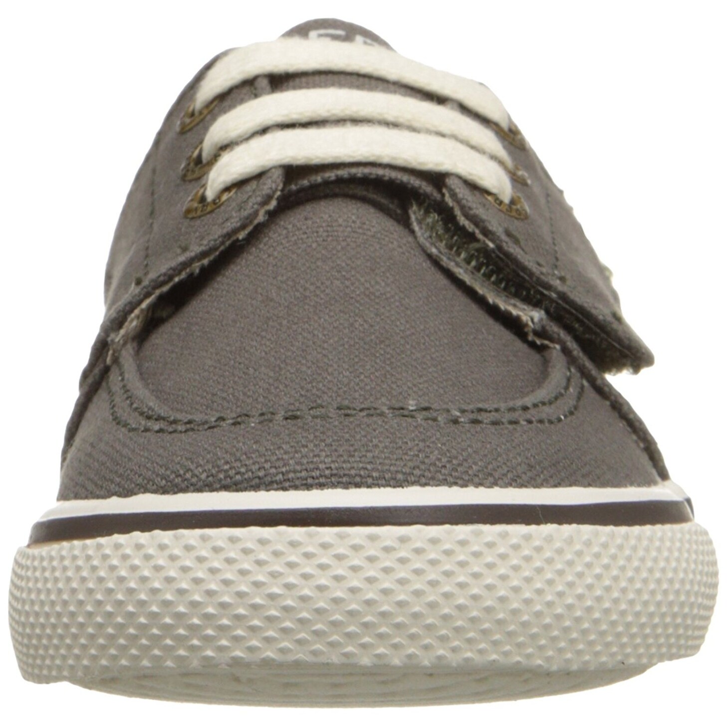 sperry ollie