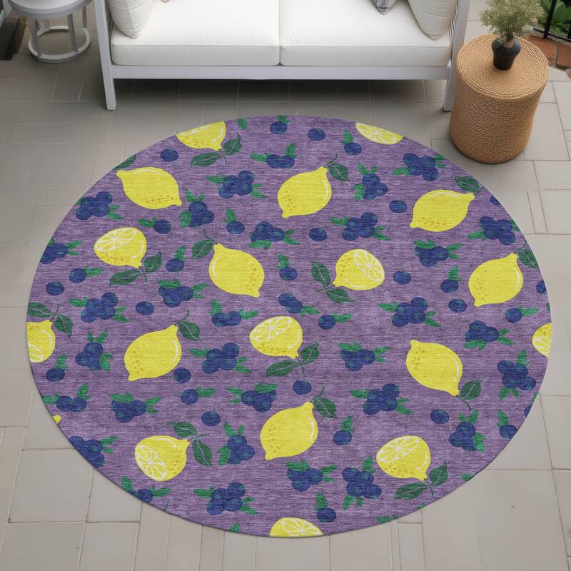 Machine Washable Indoor/ Outdoor Citrus Berry Chantille Rug - Lavender - 8' x 8'