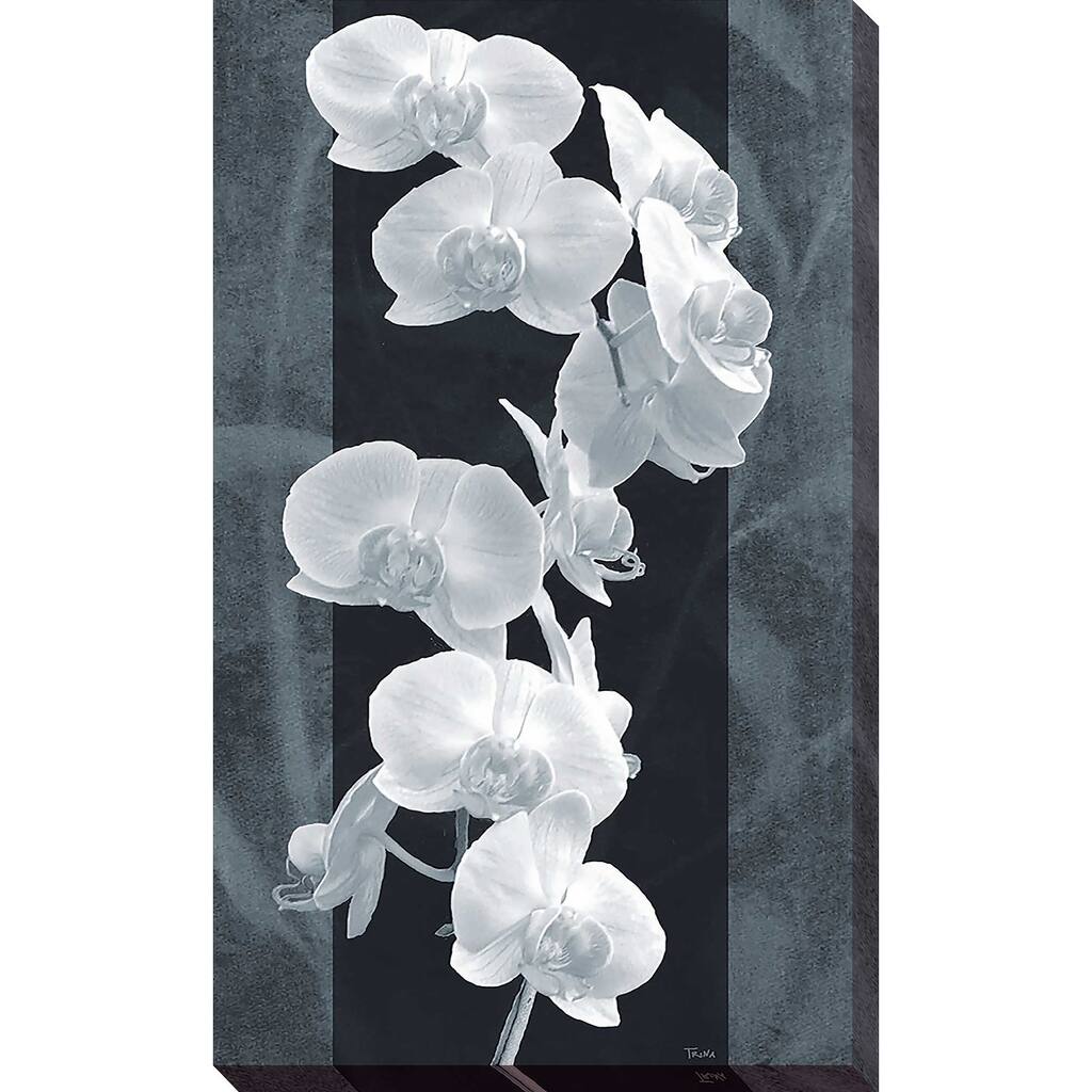 "Orchid Opulence I" Print on Canvas
