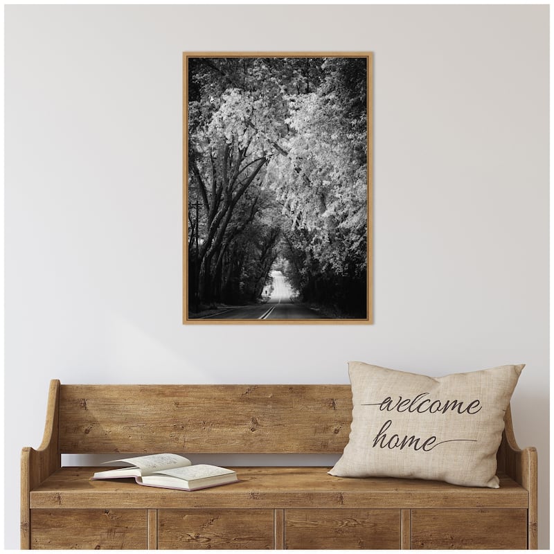 Kate and Laurel Sylvie Pleasant Valley Road Serene Path Framed Canvas by Emiko and Mark Franzen of F2Images