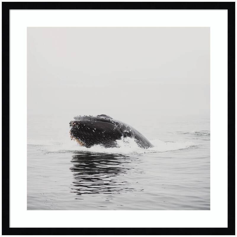 Kate and Laurel Humpback Whale No. 4 by Laura Evans Framed Wall Art Print - 25x25 - Black