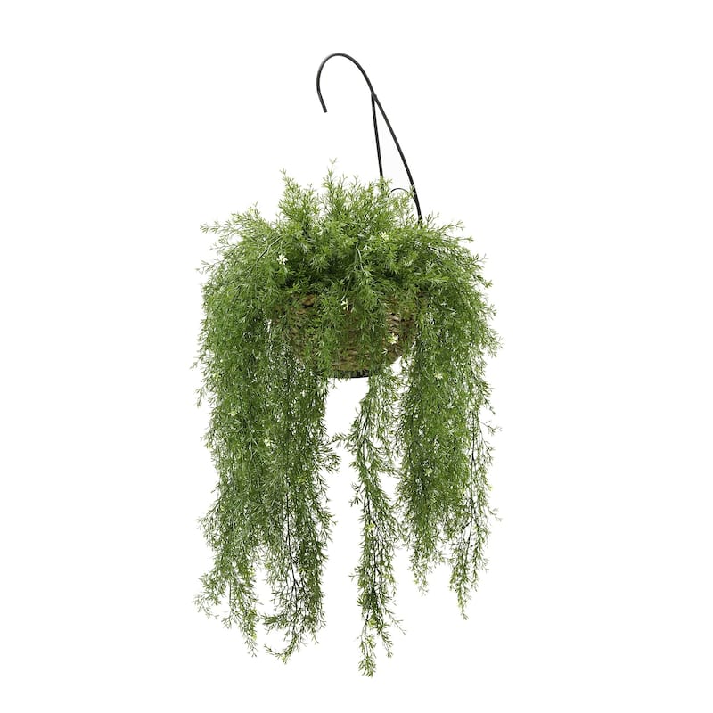 Faux Asparagus Fern Hanging Basket - White Water Hyacinth