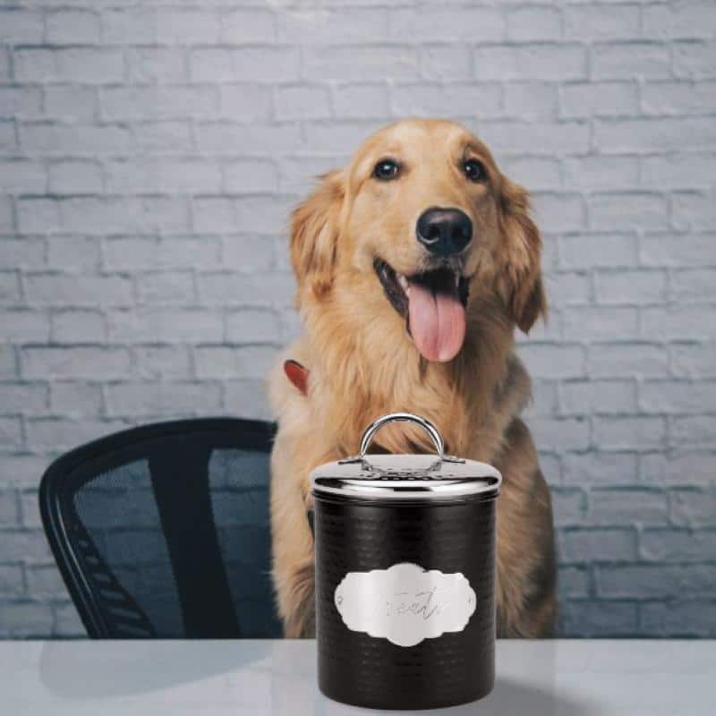 Amici Pet Cavalier Small Metal Canister Treats Jar - 40 Ounces