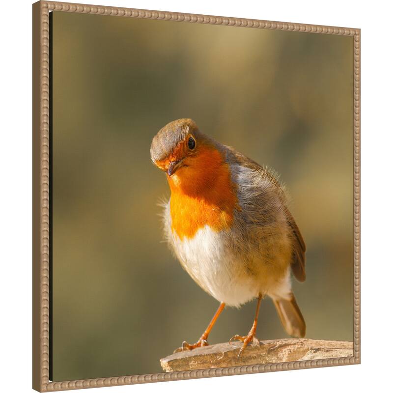 Whats up by Annie Keizer Framed Canvas Wall Art Print