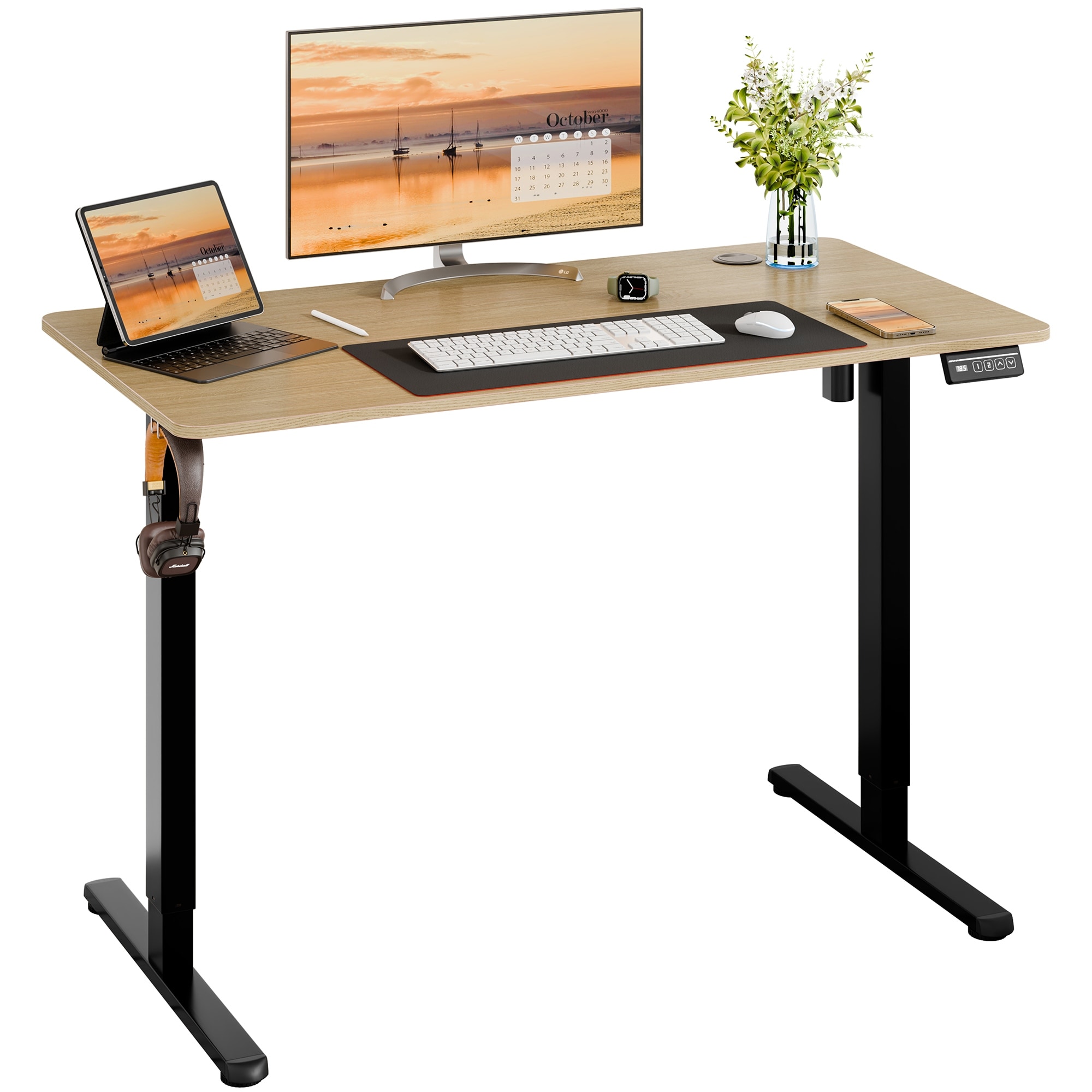 Futzca Height Adjustable Electric Standing Desk, Computer Office Desk