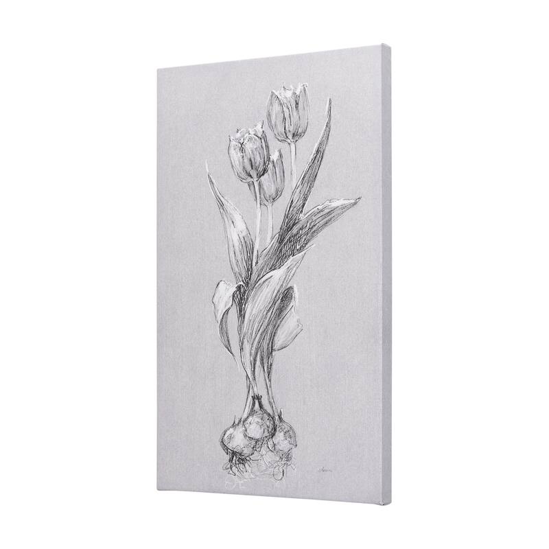 Botanical Sketches I (Grey) (21 x 35) Canvas Art Print