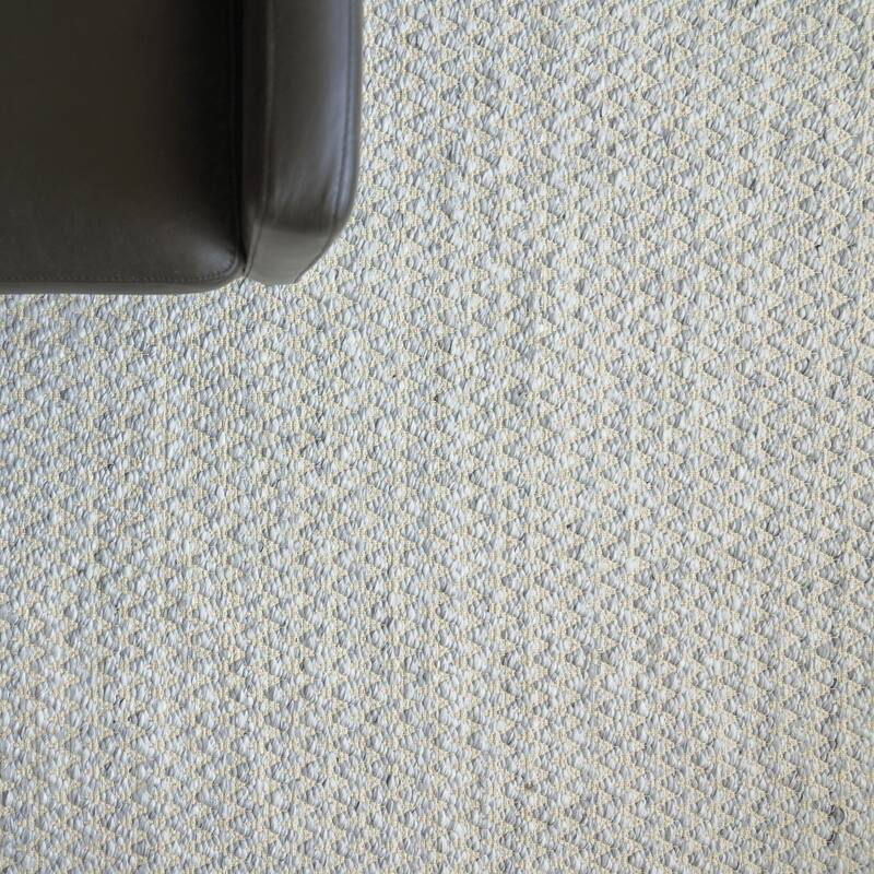 EXQUISITE RUGS Rialto Handwoven Polyester/Cotton Light Grey Area Rug.