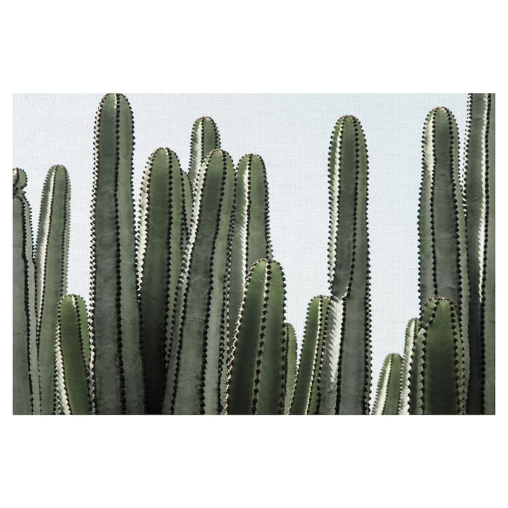 Desert Detail by Belle Maison Canvas Art Print