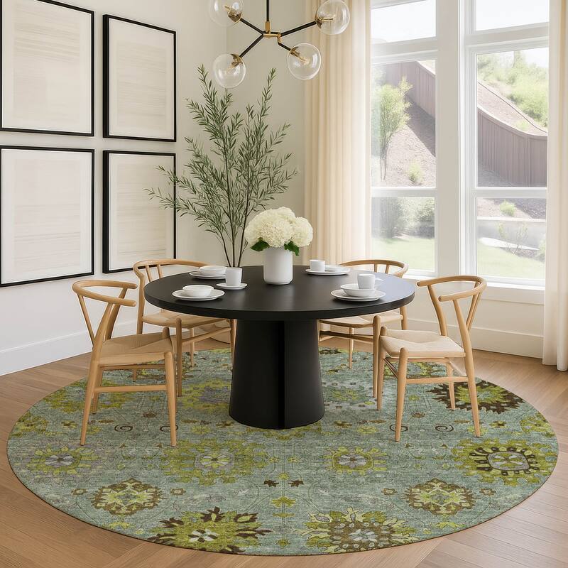 Machine Washable Indoor/ Outdoor Vintage Traditional Chantille Rug