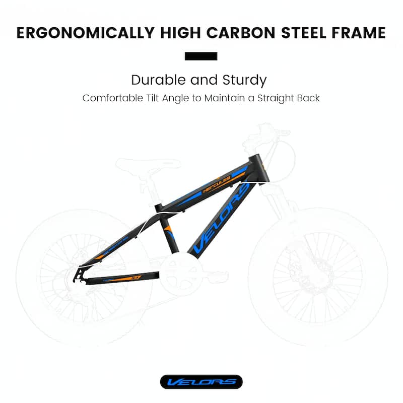 20 Inch Fat Tire Bike Adult 7 Speed Mountain Bike