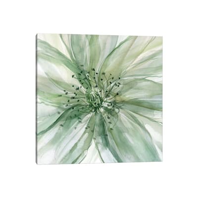 iCanvas "Macro Sage Flower II" by Carol Robinson Canvas Print