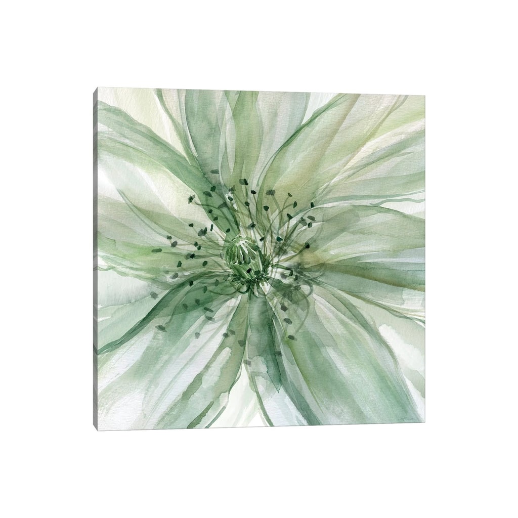 iCanvas "Macro Sage Flower II" by Carol Robinson Canvas Print