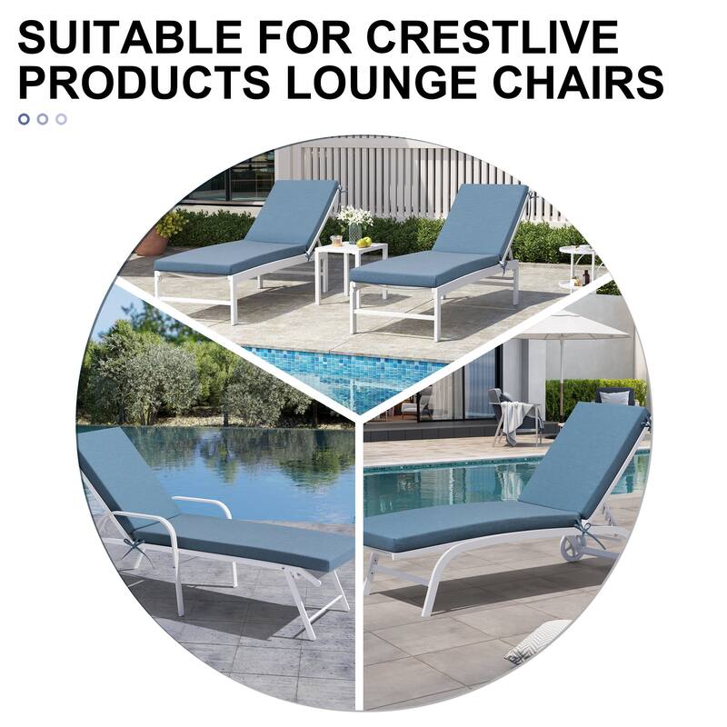 Outdoor Chaise Lounge Set Lounge Chairs with Adjustable Back and Sunbrella Fabric Cushions