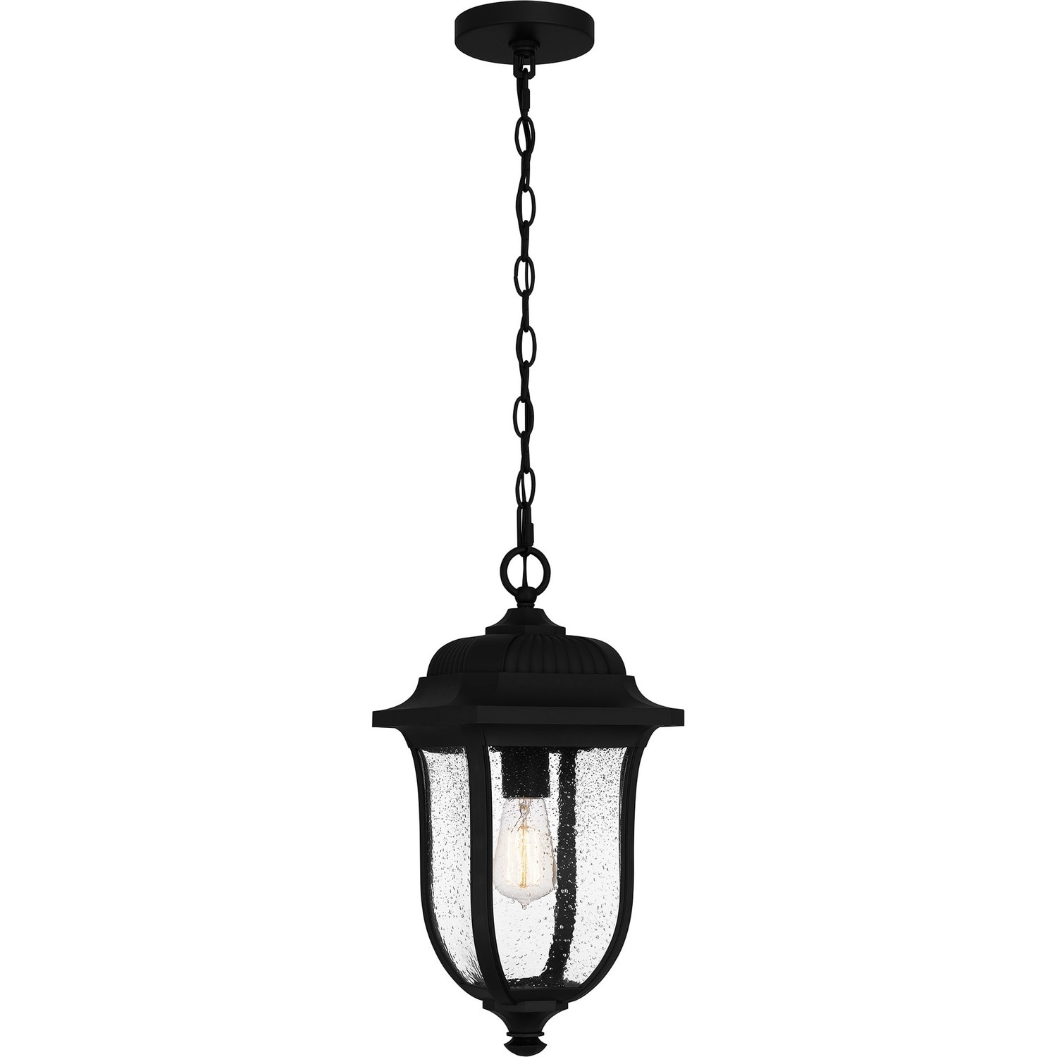 Mulberry 1-Light Outdoor Hanging Lantern in Matte Black