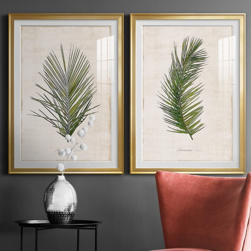 Palm Botanical I Premium Framed Print - Ready to Hang